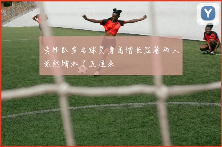 黄蜂队多名球员身高增长显著两人竟然增加了五厘米