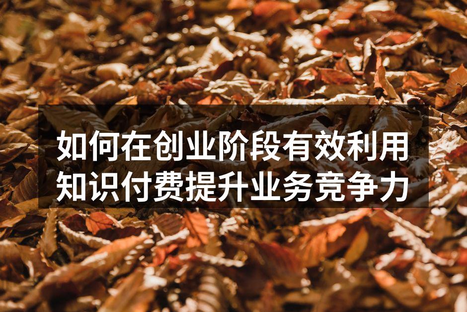 如何在创业阶段有效利用知识付费提升业务竞争力